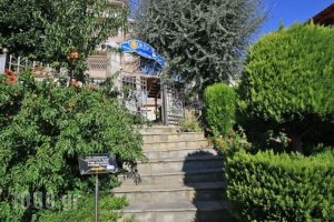 Naias_accommodation_in_Hotel_Macedonia_Halkidiki_Neos Marmaras