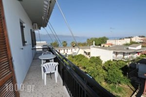 Jimmy's Apartments_best deals_Apartment_Peloponesse_Achaia_Simpolitia