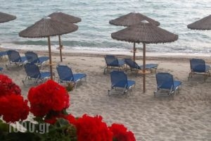 Ammon Zeus_best deals_Hotel_Macedonia_Halkidiki_Kassandreia