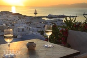 Portobello Boutique Hotel_accommodation_in_Hotel_Cyclades Islands_Mykonos_Mykonos ora