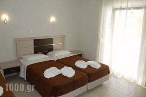 Phaethon_accommodation_in_Apartment_Macedonia_Halkidiki_Kallithea