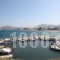 Lomvardou_best prices_in_Room_Cyclades Islands_Paros_Paros Chora