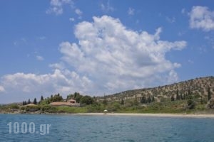 Leto Hotel_lowest prices_in_Hotel_PiraeusIslands - Trizonia_Hydra_Hydra Chora