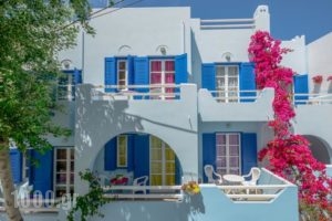 Galazia Studios_accommodation_in_Hotel_Cyclades Islands_Naxos_Naxos chora