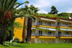 Alexandrina_best prices_in_Apartment_Macedonia_Halkidiki_Kassandreia