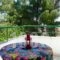 Oceanus Apartments_best deals_Apartment_Macedonia_Halkidiki_Ormos Panagias