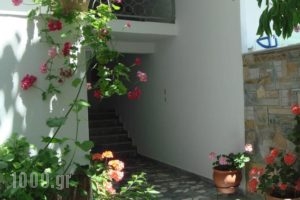 Loginos Studios_lowest prices_in_Hotel_Macedonia_Halkidiki_Kassandreia