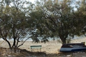 Hotel Dora'S_holidays_in_Hotel_Cyclades Islands_Syros_Megas Gialos