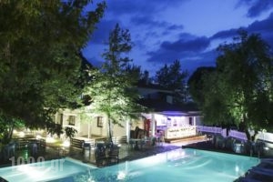 Gefyri Hotel_accommodation_in_Hotel_Epirus_Ioannina_Konitsa