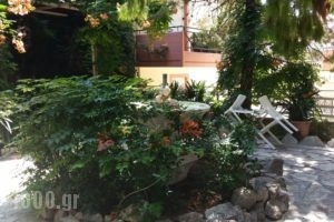 Pension Alkistis_lowest prices_in_Room_Peloponesse_Argolida_Tolo