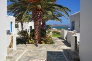 Bungalows Cosmarie_best prices_in_Hotel_Cyclades Islands_Paros_Paros Chora