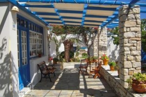 Bungalows Cosmarie_best deals_Hotel_Cyclades Islands_Paros_Paros Chora