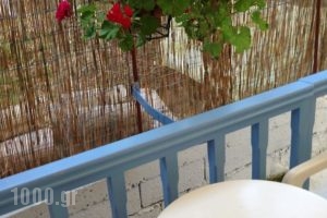 Konstantina Studios_best deals_Hotel_Ionian Islands_Lefkada_Lefkada Chora