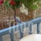 Konstantina Studios_best deals_Hotel_Ionian Islands_Lefkada_Lefkada Chora