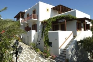 Hotel Manto_accommodation_in_Hotel_Cyclades Islands_Paros_Naousa