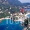 Napoleon Apartments_best prices_in_Apartment_Ionian Islands_Corfu_Palaeokastritsa