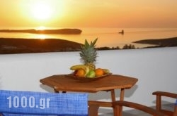 Anna Platanou Apartments in Paros Rest Areas, Paros, Cyclades Islands