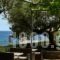 Cardamili Beach Hotel_best prices_in_Hotel_Thessaly_Magnesia_Pilio Area