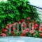 George & Sia's House_lowest prices_in_Hotel_Macedonia_Halkidiki_Neos Marmaras