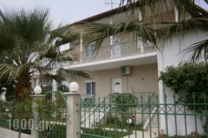 Alexander Inn Economy_accommodation_in_Hotel_Macedonia_Thessaloniki_Thessaloniki City