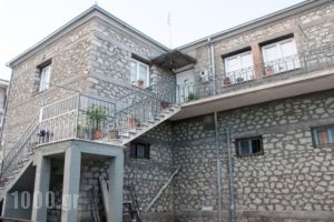 Host El Greco_lowest prices_in_Room_Thessaly_Trikala_Kalambaki