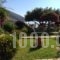 Waterside_best prices_in_Apartment_Ionian Islands_Kefalonia_Aghia Efimia