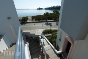 Alcioni Studios_accommodation_in_Hotel_Cyclades Islands_Andros_Andros City