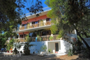 The Delfini_best prices_in_Hotel_Piraeus Islands - Trizonia_Aigina_Agia Marina