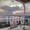 Petra Thea_best deals_Room_Peloponesse_Messinia_Kalamata