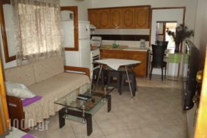 Villa Alexander_holidays_in_Villa_Macedonia_Thessaloniki_Asprovalta