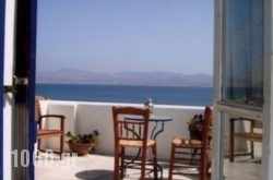 Kohili in Antiparos Rest Areas, Antiparos, Cyclades Islands
