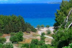 George & Sia's House_holidays_in_Hotel_Macedonia_Halkidiki_Neos Marmaras