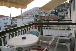 Nick House_lowest prices_in_Room_Aegean Islands_Lesvos_Plomari