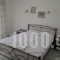 Nick House_best prices_in_Room_Aegean Islands_Lesvos_Plomari