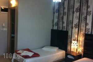 Hotel Amaryllis_best deals_Hotel_Thraki_Rodopi_Komotini City