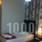 Hotel Amaryllis_best deals_Hotel_Thraki_Rodopi_Komotini City