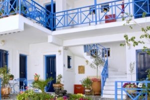 Electra Pension_accommodation_in_Hotel_Piraeus Islands - Trizonia_Aigina_Aigina Rest Areas