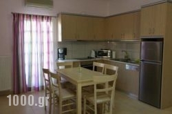 Mirtini Apartments in Myrtos, Lasithi, Crete