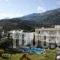 Manolis Apartments_best prices_in_Apartment_Crete_Rethymnon_Plakias