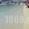 Acrogiali Hotel_best deals_Hotel_Cyclades Islands_Mykonos_Platys Gialos