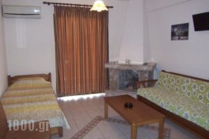 Dimitra's Apartments_best deals_Apartment_Macedonia_Pieria_Olympiaki Akti