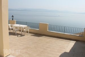 Litharia Apartments_accommodation_in_Apartment_Ionian Islands_Corfu_Corfu Rest Areas