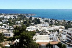 George Studios Pefkos_holidays_in_Hotel_Dodekanessos Islands_Rhodes_Pefki