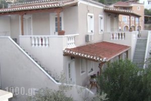 Theo Studios_accommodation_in_Hotel_Piraeus Islands - Trizonia_Spetses_Spetses Chora