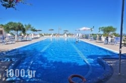 Santorini Youth Hostel in Athens, Attica, Central Greece