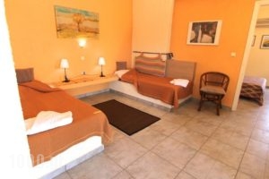 Katerina'S Bungalows_best deals_Hotel_Central Greece_Evia_Limni