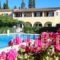 Kalypso Apartments_travel_packages_in_Ionian Islands_Corfu_Kondokali