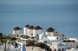 Constantina Zorz Xydakis in Mykonos Chora, Mykonos, Cyclades Islands