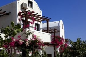 Anna Traditional Apartments_best prices_in_Apartment_Cyclades Islands_Sandorini_Sandorini Chora