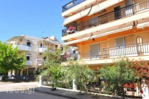 Apartments Dimitra_best prices_in_Apartment_Macedonia_Halkidiki_Paralia Dionysou